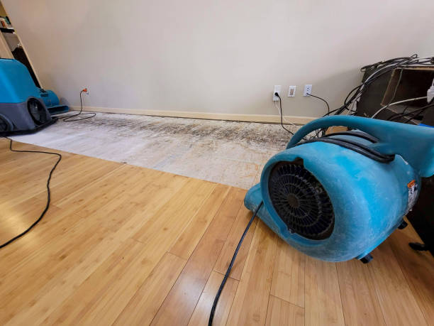Professional Structural Drying technician working in York, SC